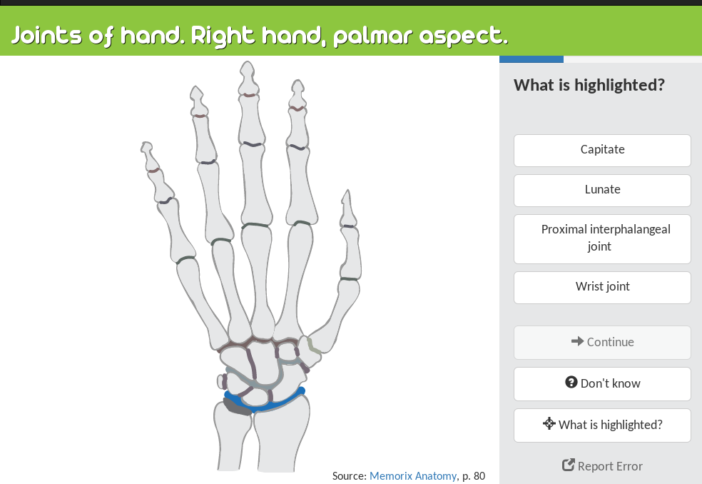 Relations - PracticeAnatomy.com - Review Human Anatomy In Pictures