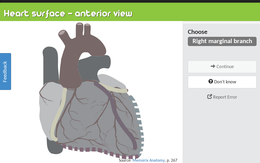 PracticeAnatomy.com - Review Human Anatomy In Pictures